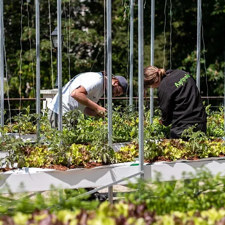 Mercure Paris Ouest Germain Szálloda 4*